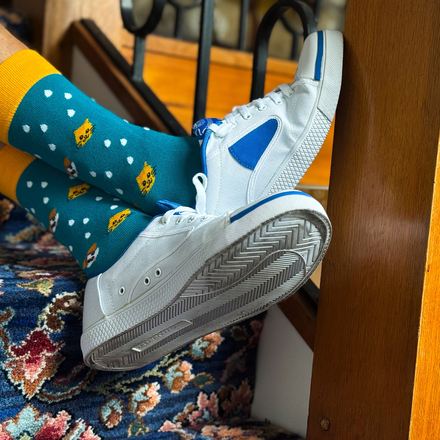 Raining Cats and Dogs Mens Bamboo Socks